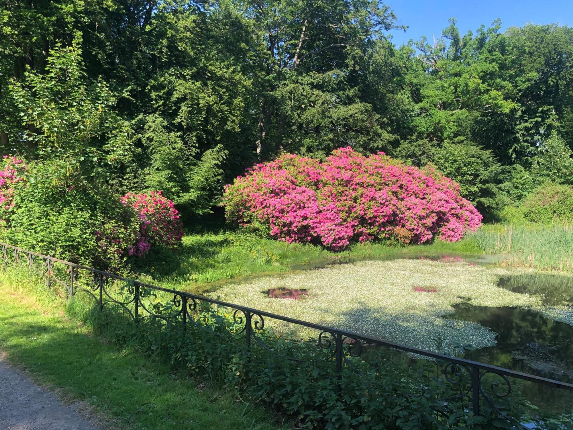 Vingardens Bed & Breakfast Helsingborg Exterior foto