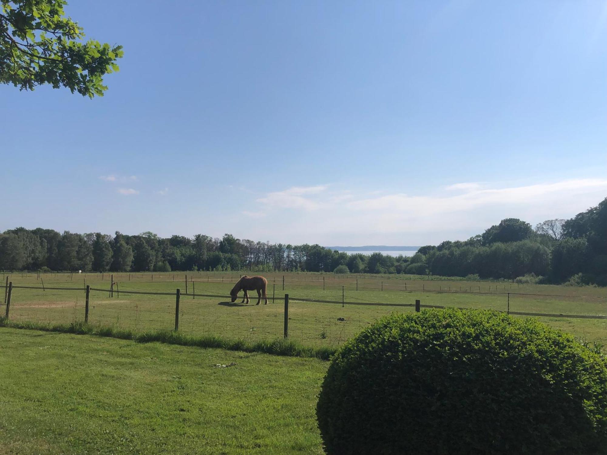 Vingardens Bed & Breakfast Helsingborg Exterior foto