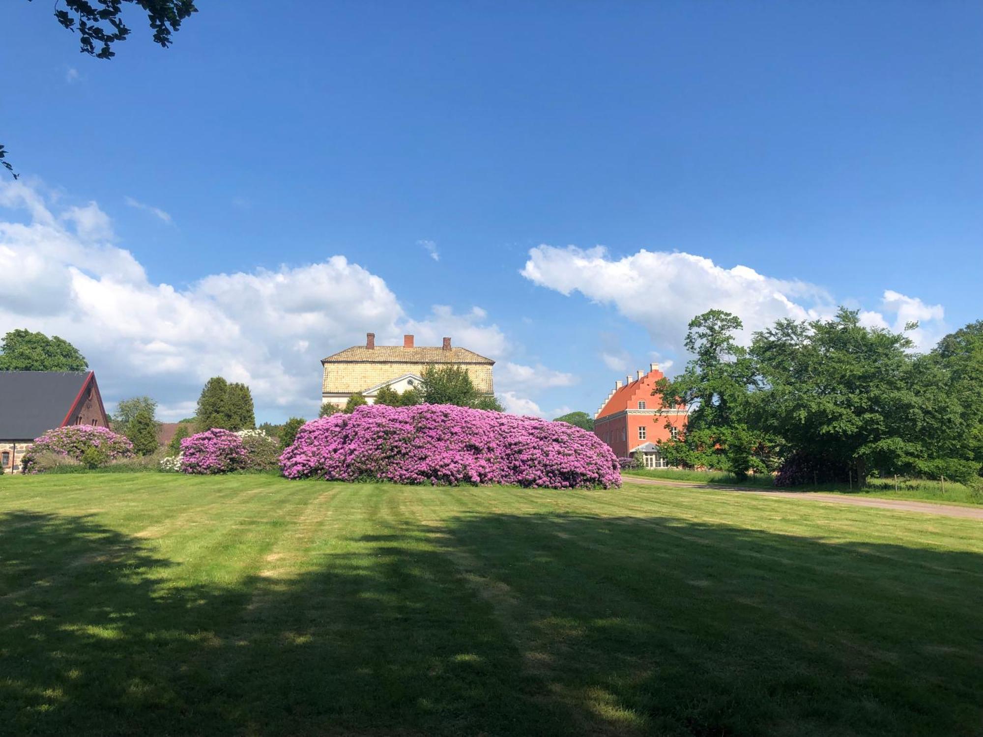 Vingardens Bed & Breakfast Helsingborg Exterior foto